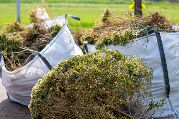 Best Electronics Removal Services  in Park City, TN